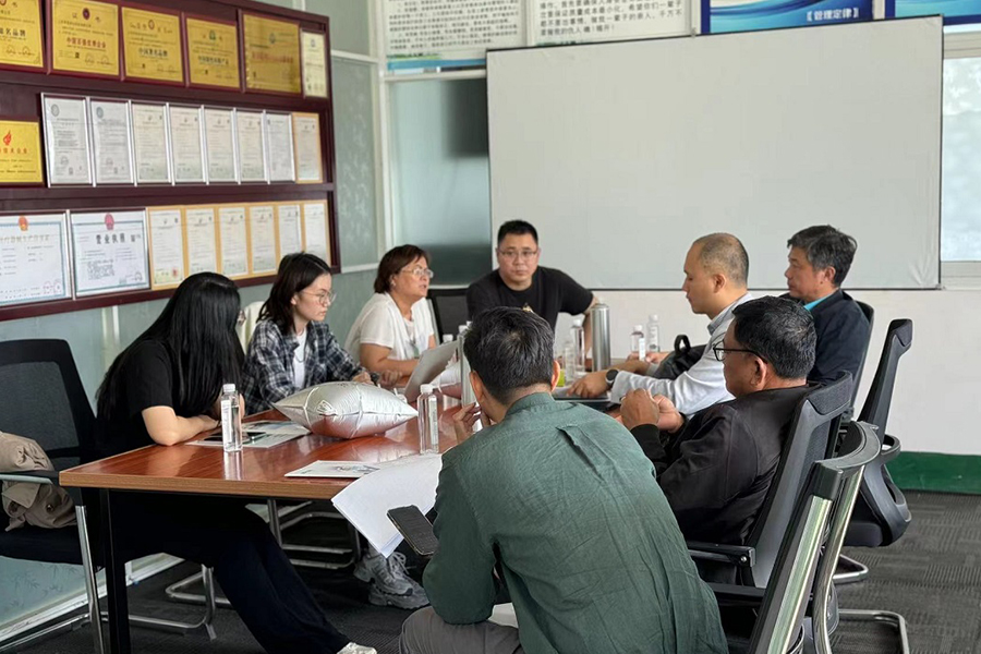 Inspeksyon ng pabrika ng Myanmar Customer